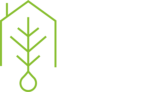 Evolve Carpet Cleaning